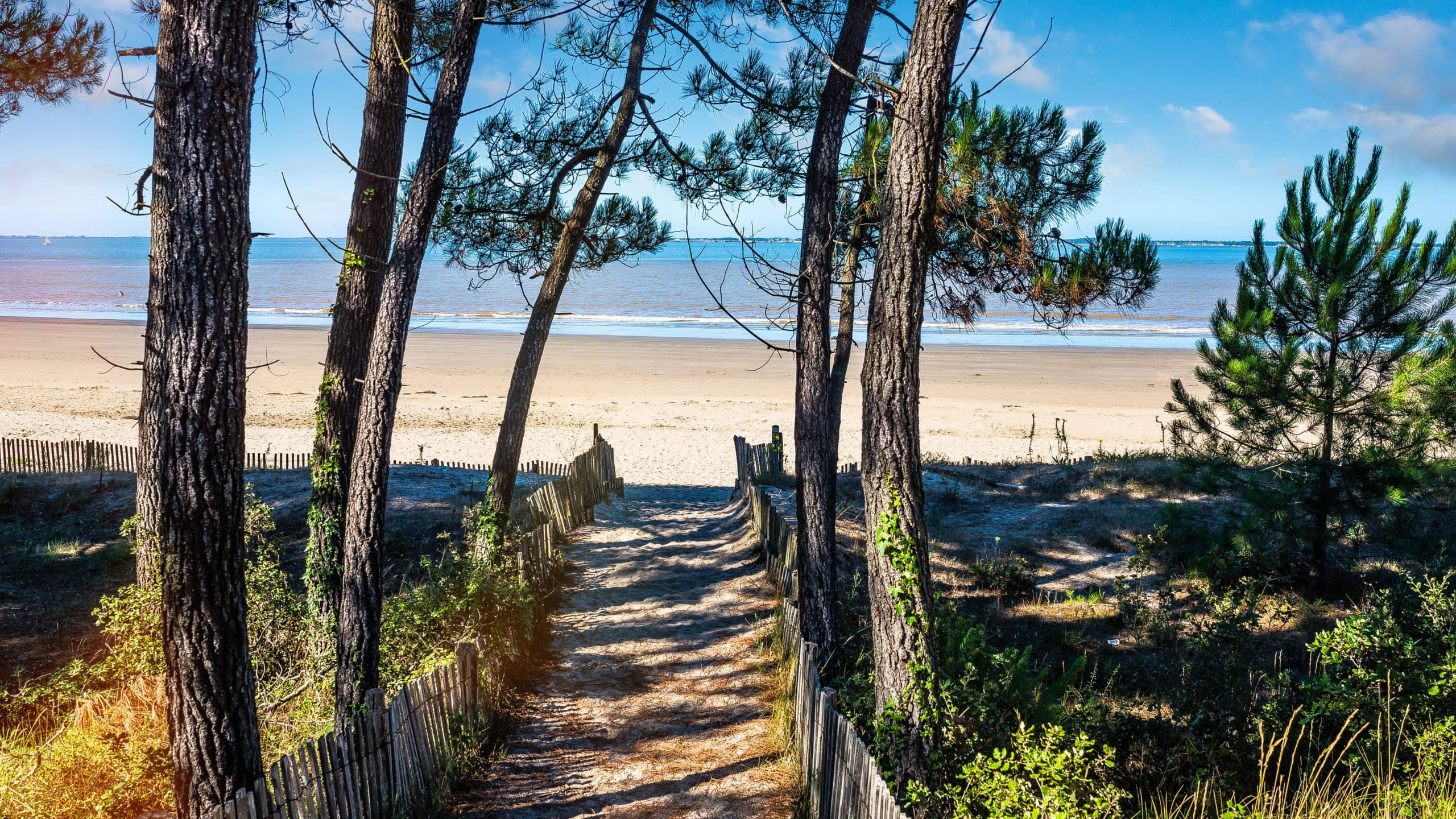 Sentier boisé menant à une plage ensoleillée.