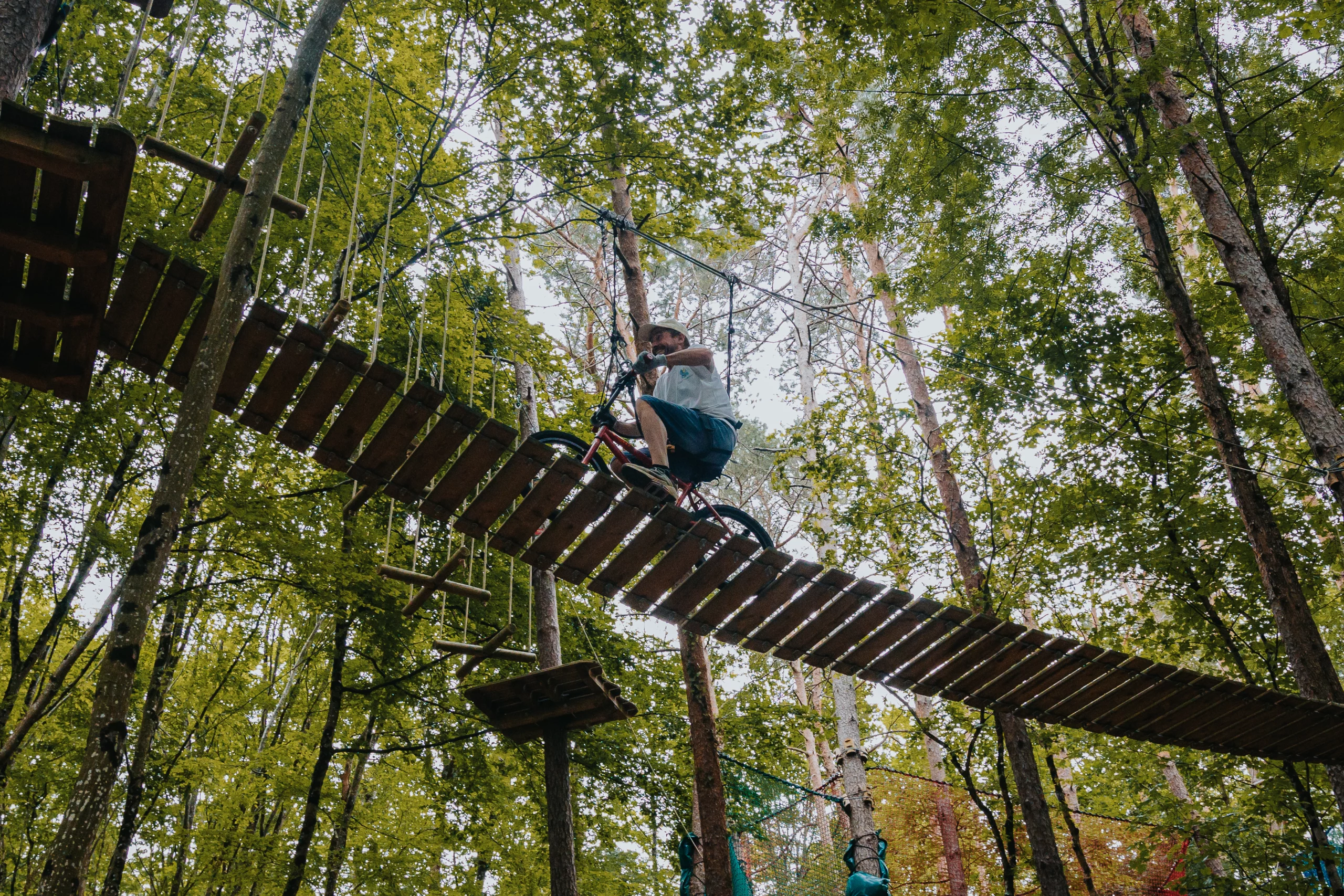 Cycliste sur pont en bois à traverser la forêt.
