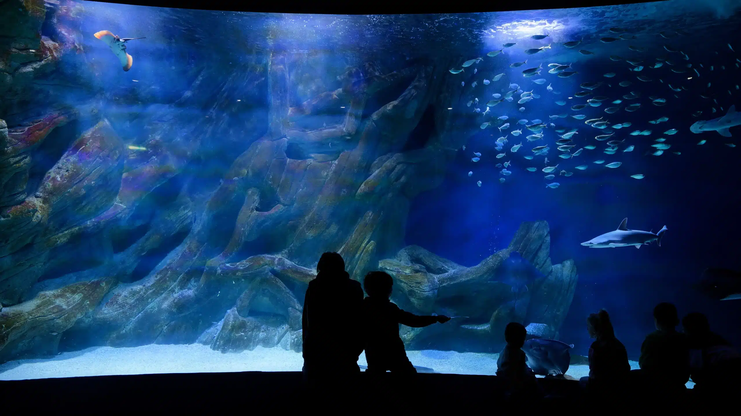 Enfants devant un grand aquarium avec récif et poissons.