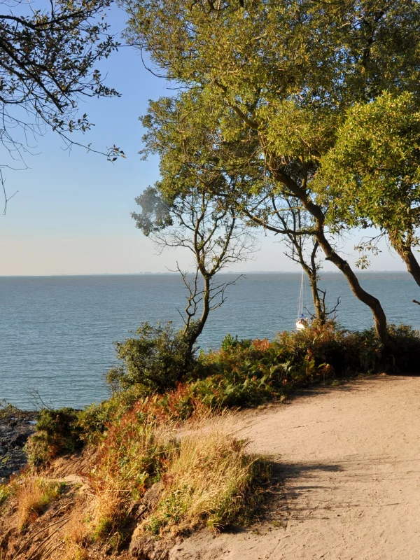 Sentier côtier surplombant l'océan et les arbres
