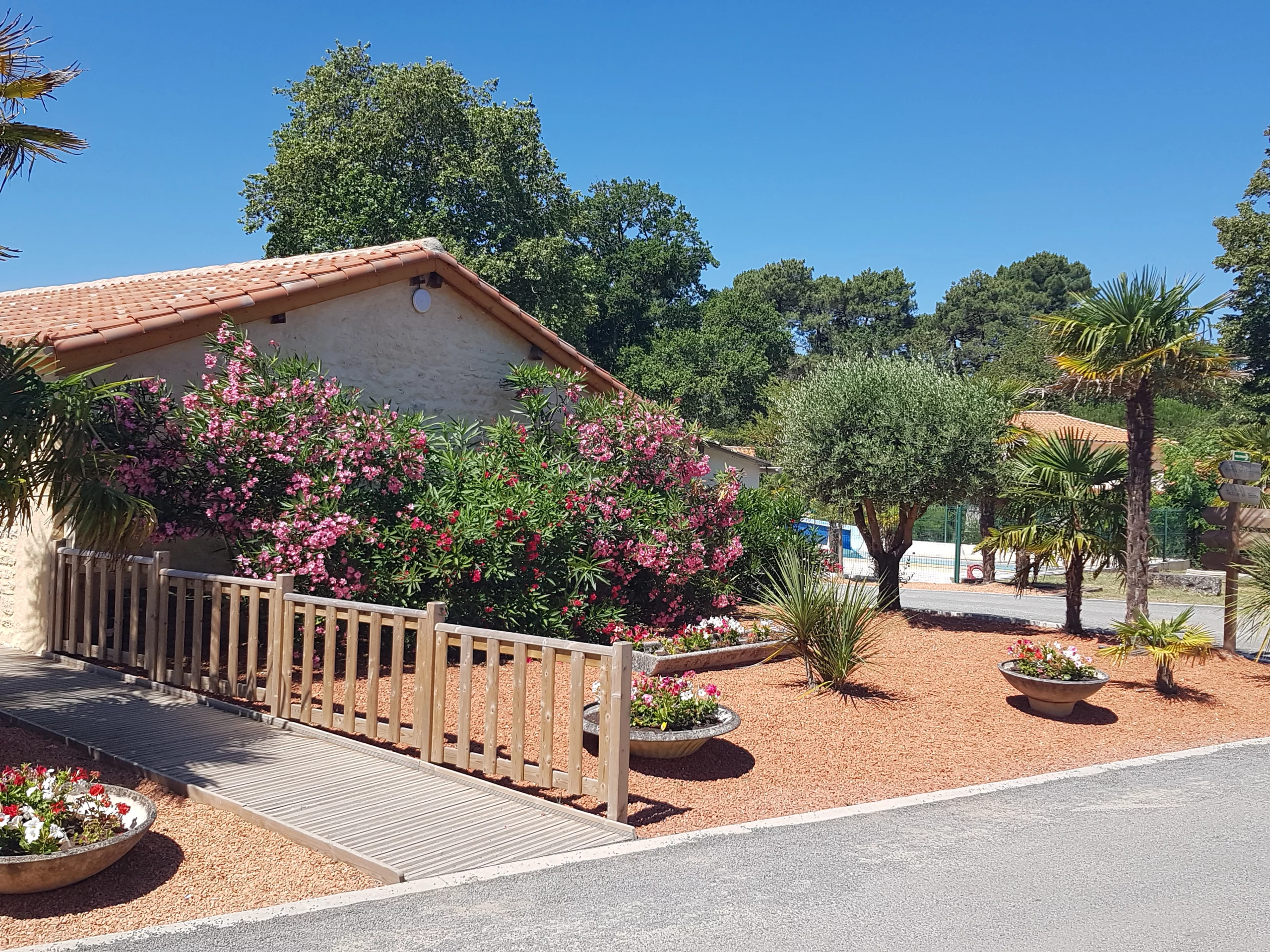 Jardin méditerranéen avec maison et palmiers.