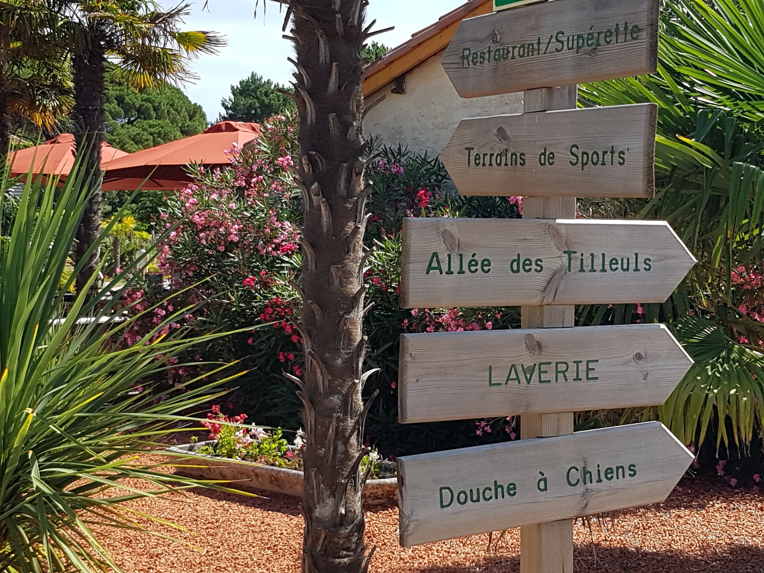 Panneau directionnel en bois dans un jardin tropical.