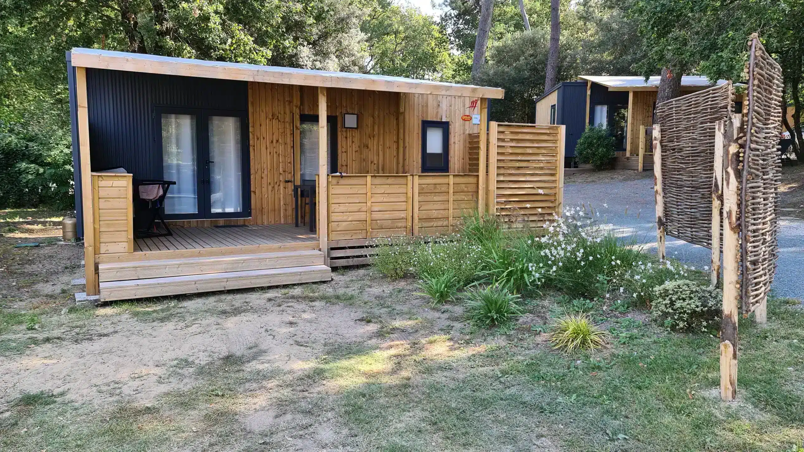 Chalet moderne en bois dans un camping forestier.