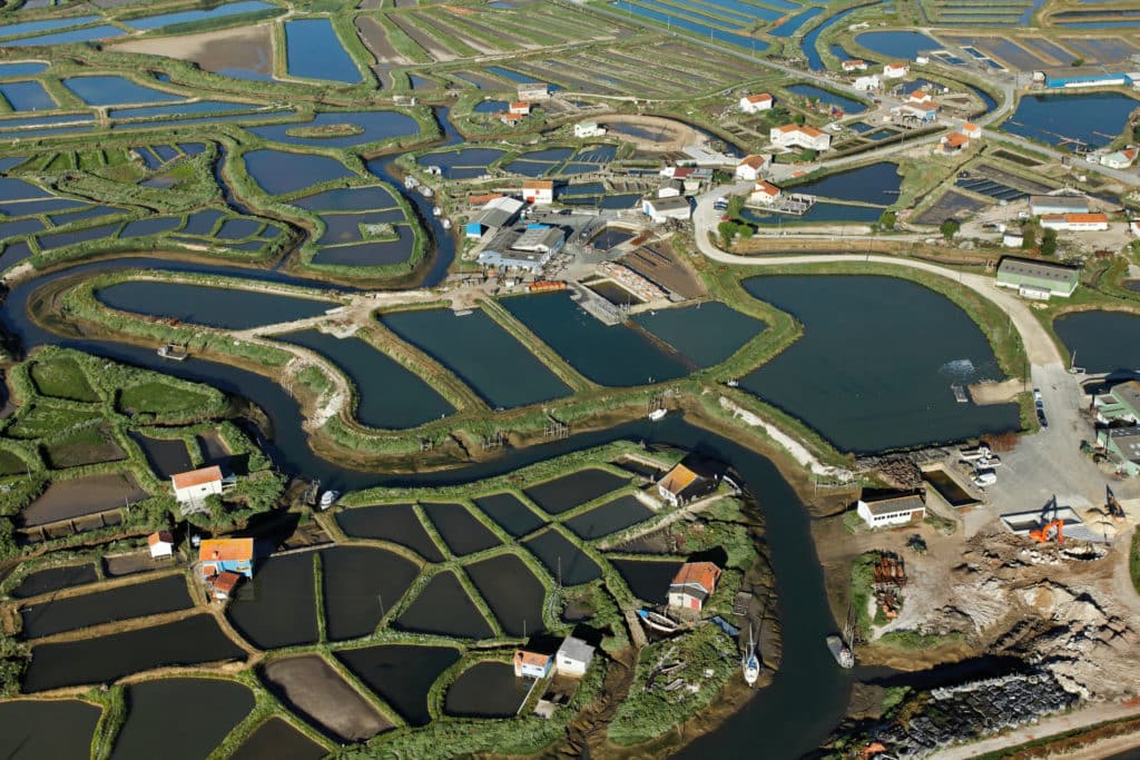 Vues aériennes des marais salants en France