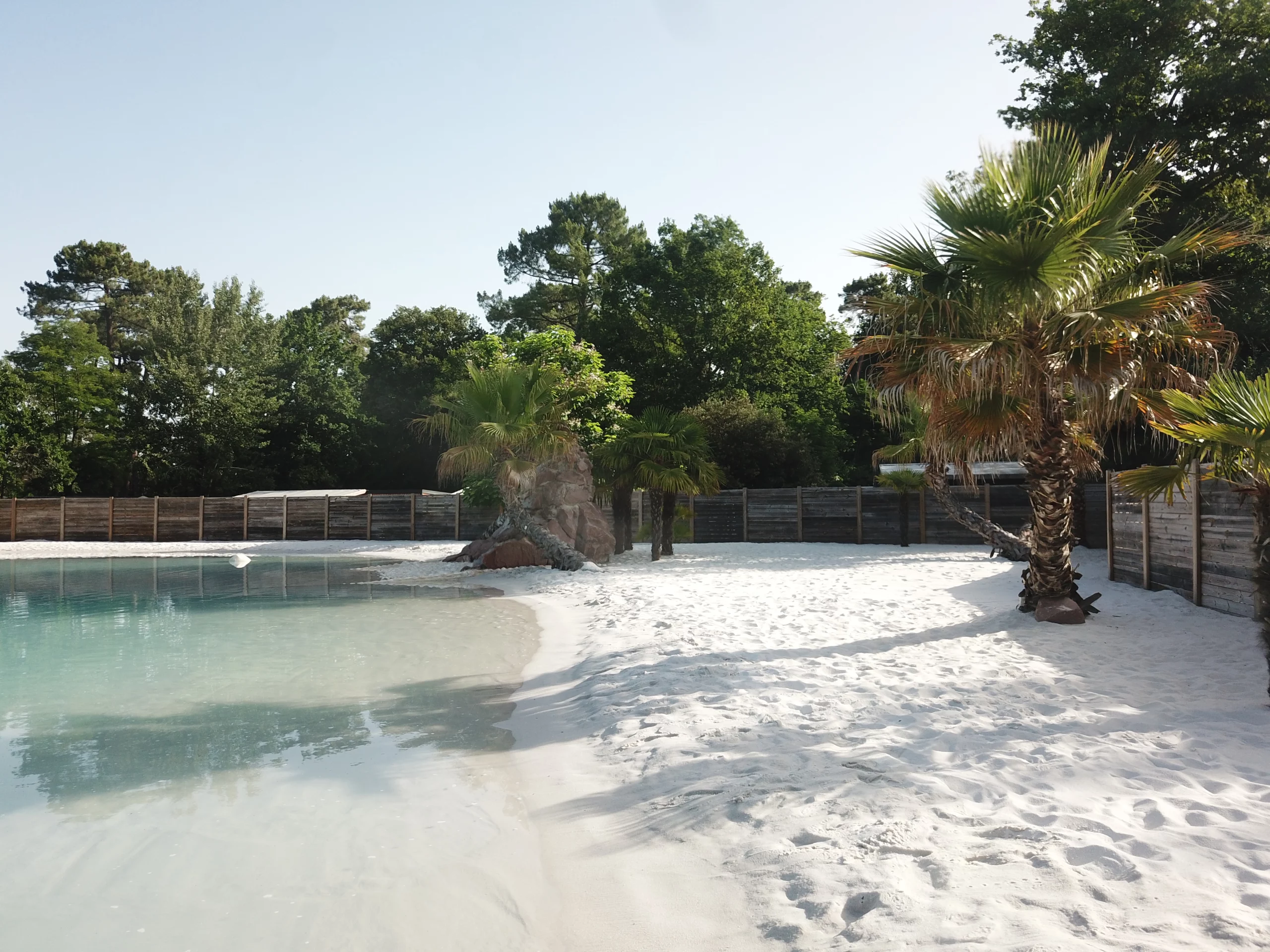 Plage de sable blanc avec palmiers et piscine.