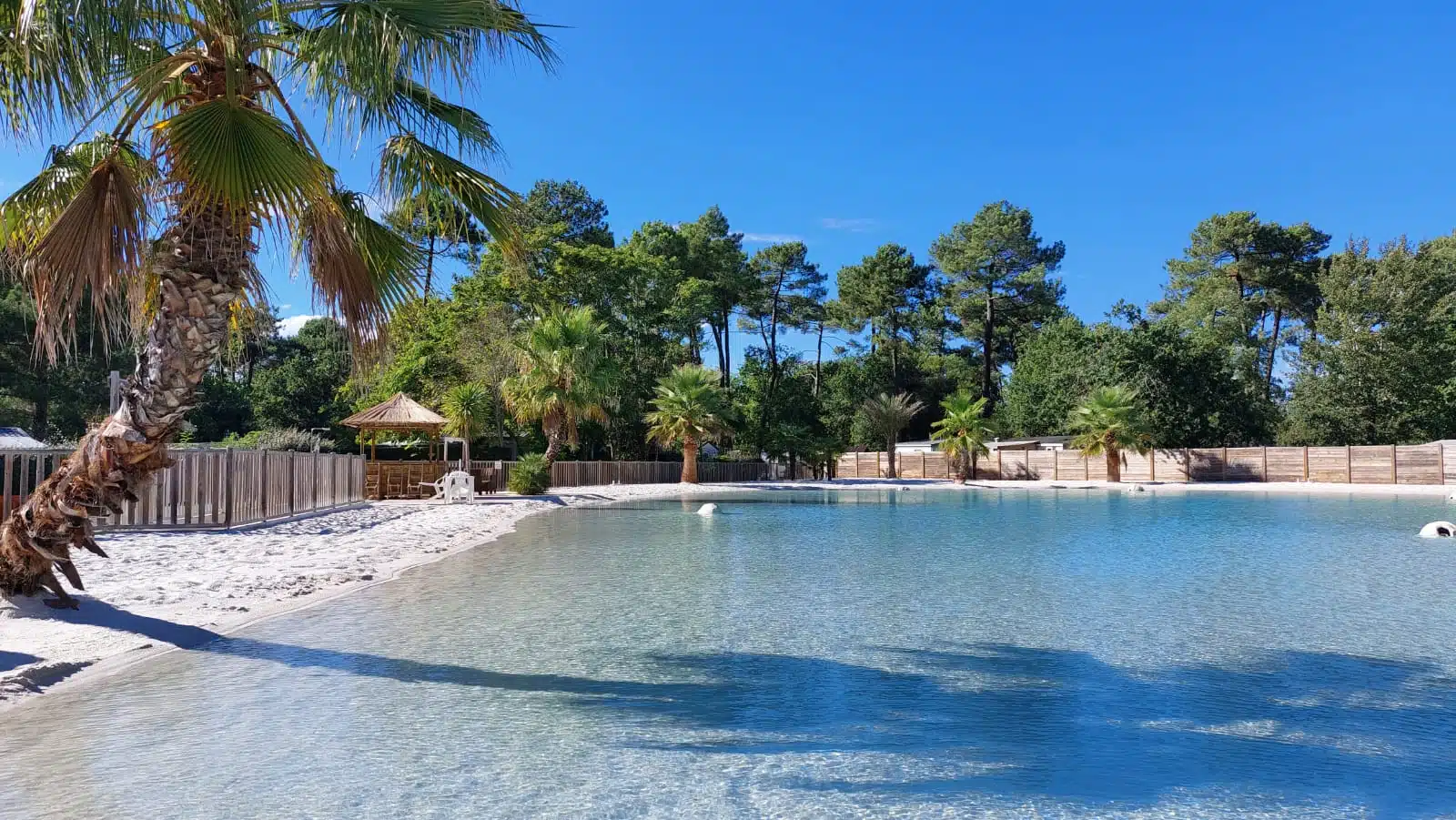 Plage tropicale avec palmiers et eau claire.