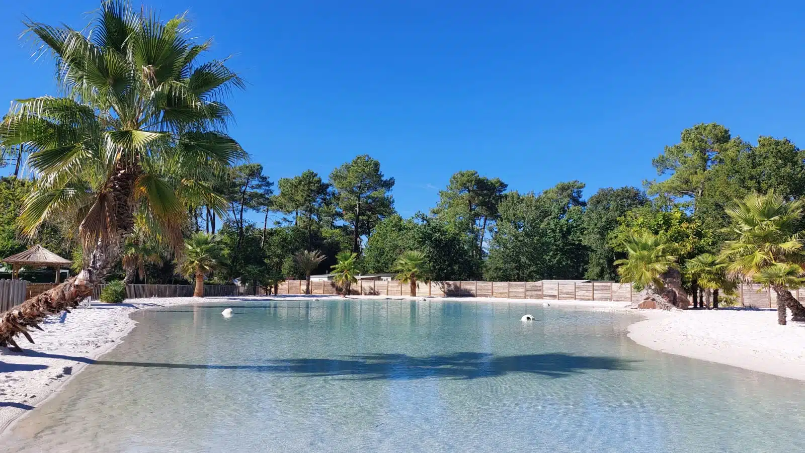 Plage artificielle au soleil avec palmiers.