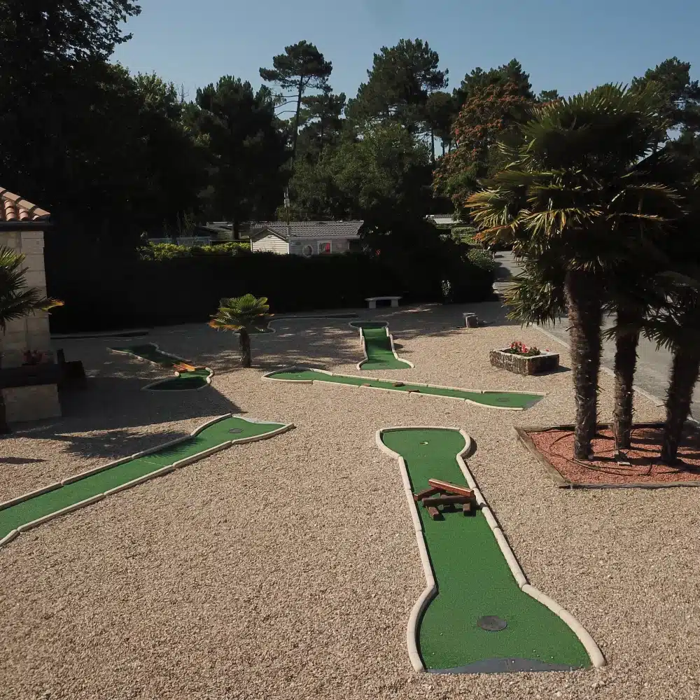 Parcours de mini-golf entouré de palmiers.