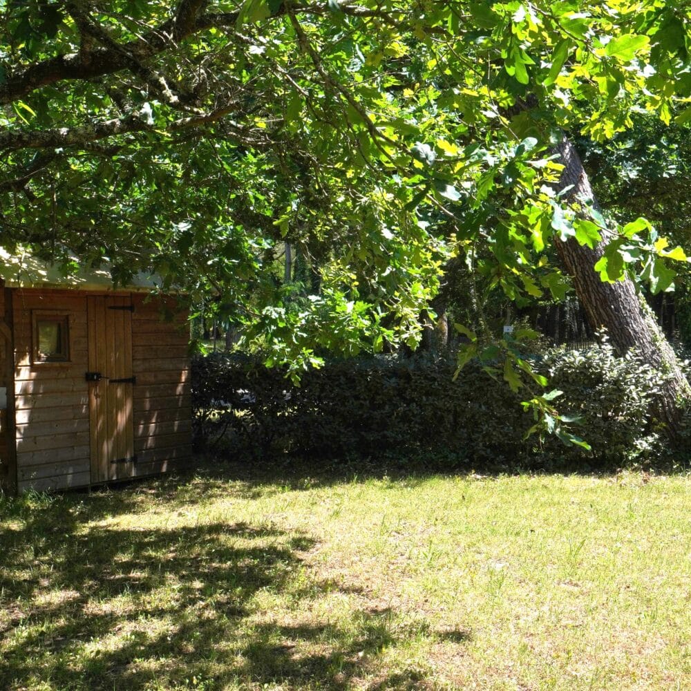 Cabane en bois dans un jardin ombragé