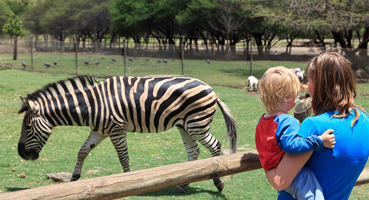 Zoo de la Palmyre